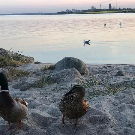 Ostseecamp Luebecker Bucht 